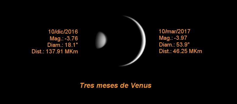 Tres meses de Venus